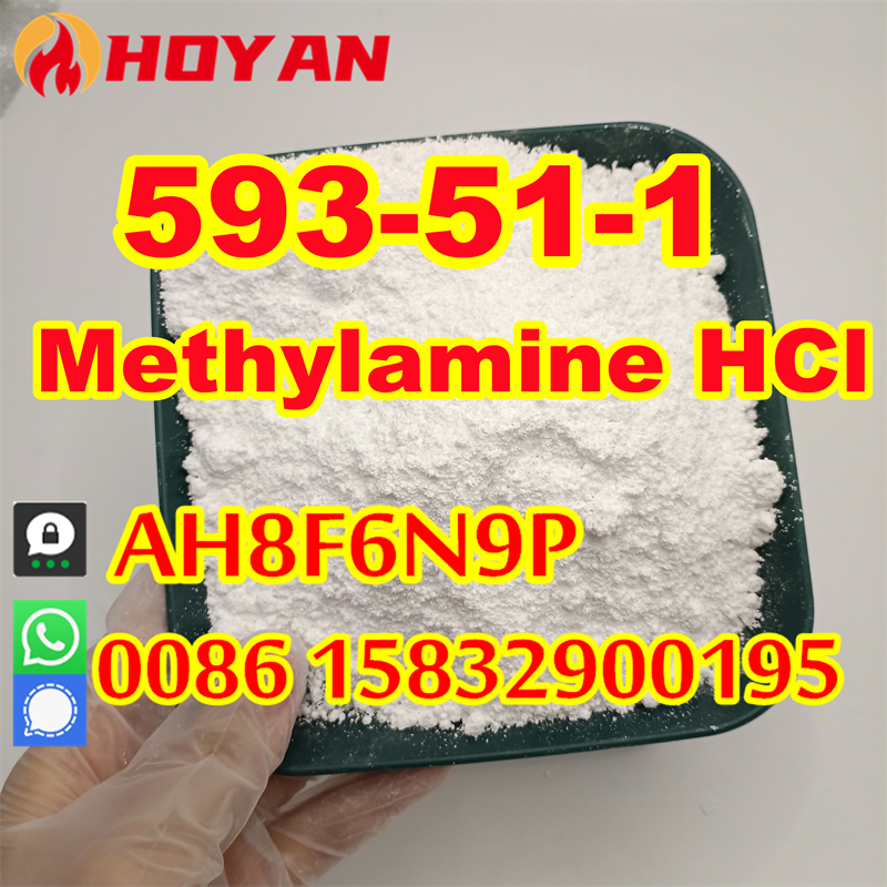 Methylamine hydrochloride 593-51-1 supplier (6)