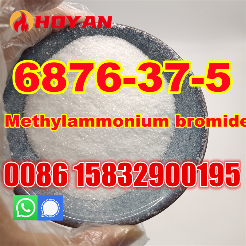 methylazanium bromide 6876-37-5 (3)